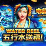 Cara Memakai Pola Dalam Bermain Double Fortune Terbaru