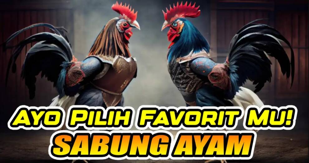 Sabung Ayam Online