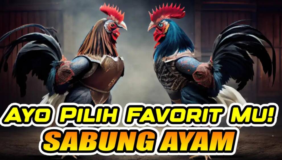 Sabung Ayam Online