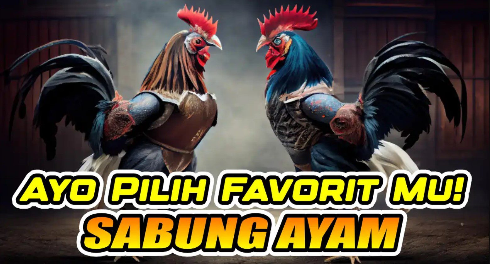 Sabung Ayam Online
